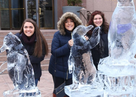 Ice Sculpture